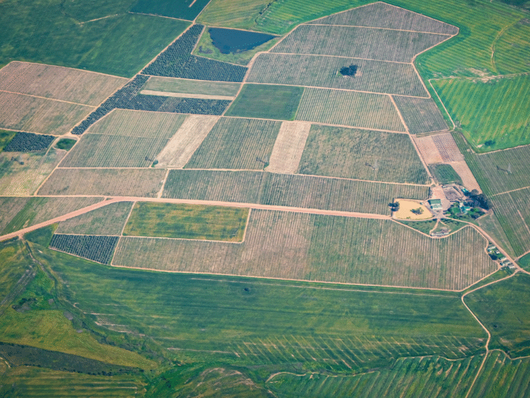 Sustenabilitatea în ferme: Cum poți reduce costurile și impactul asupra mediului 