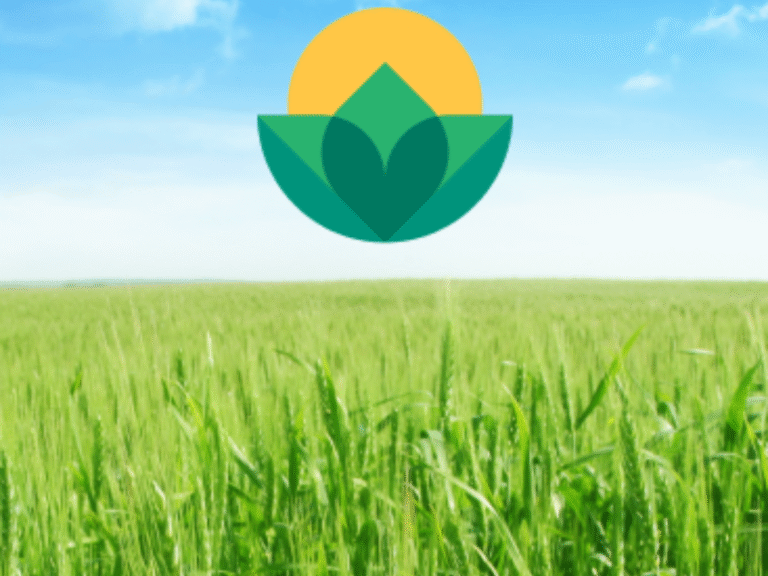 Clubul Fermierilor Români: apel pentru menținerea sistemului național antigrindină în contextul schimbărilor climatice