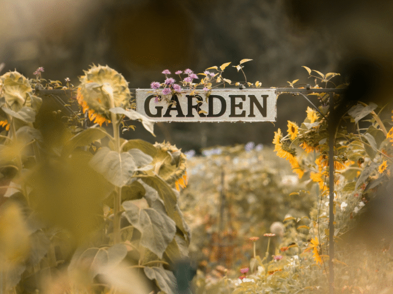 Sezamo lansează categoria „Grădină” cu peste 150 de produse pentru pasionații de grădinărit