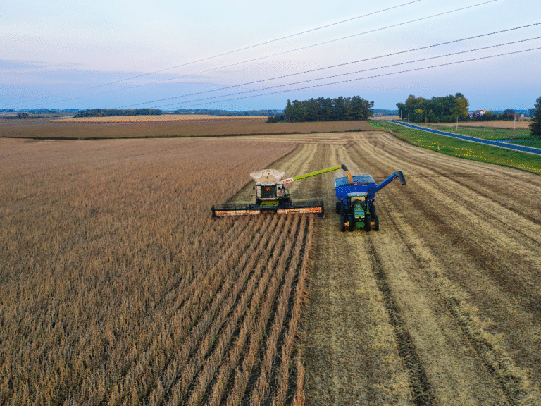 Proiecte agricole care fac diferența: inovație și rezultate măsurabile 