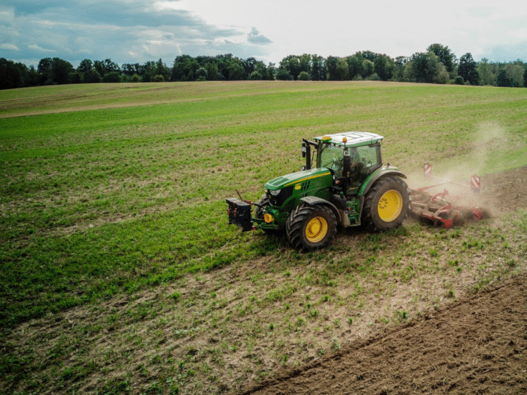Piața cerealelor în 2025: Prețuri în mișcare, reguli noi și ce trebuie să știe fermierii români